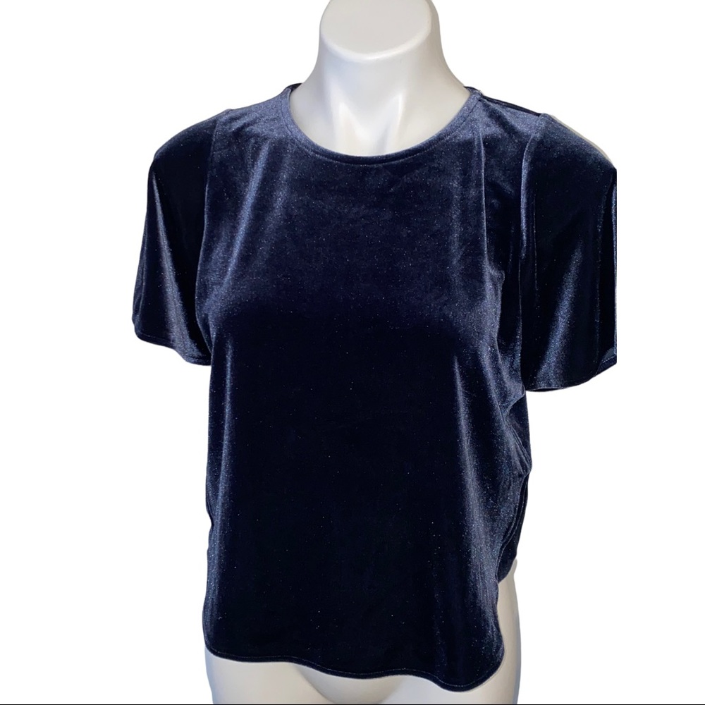 MADEWELL Velvet Butterfly Top Blue XXS